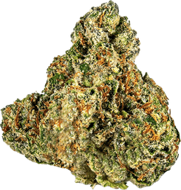 Kosher Dawg