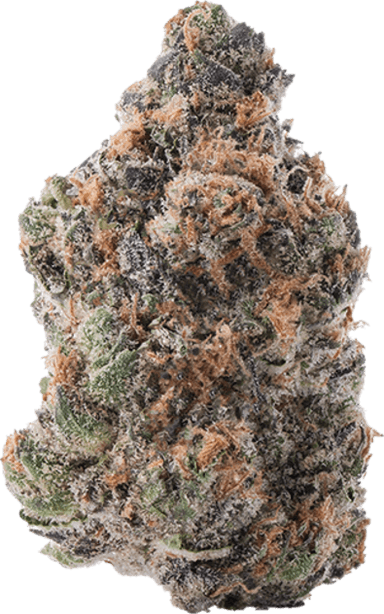 Purple Lemon Punch